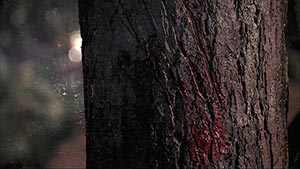 Сверхъестественное 1 сезон 2 серия