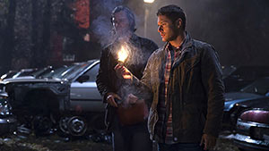 Остановись и гори