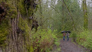 Сверхъестественное 13 сезон 23 серия