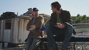 Желтая лихорадка