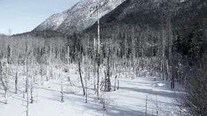 Сверхъестественное 13 сезон 18 серия