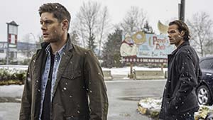 Приюти меня