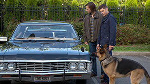 Собачий полдень Дина