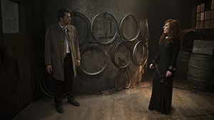 Темная династия