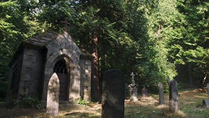 Сверхъестественное 14 сезон 5 серия