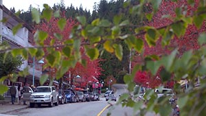 Сверхъестественное 8 сезон 10 серия