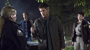 Полиция Хиббинга спешит на помощь