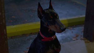 Сверхъестественное 8 сезон 15 серия